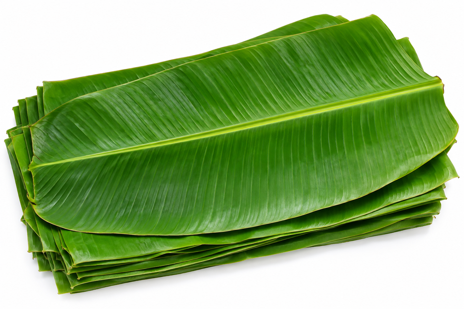 Banana leaf ( केळीचे पान )