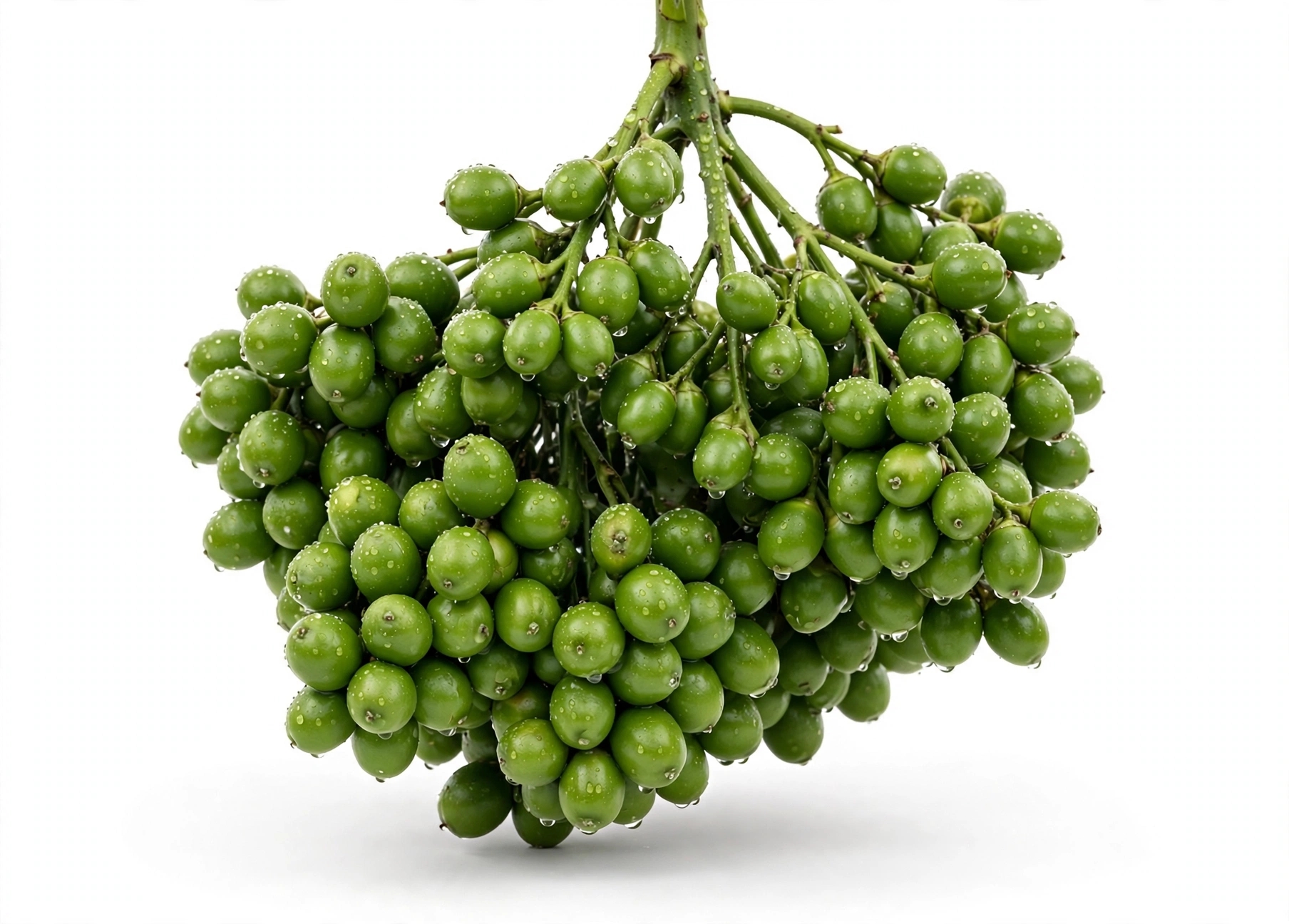 Supari (सुपारी) 