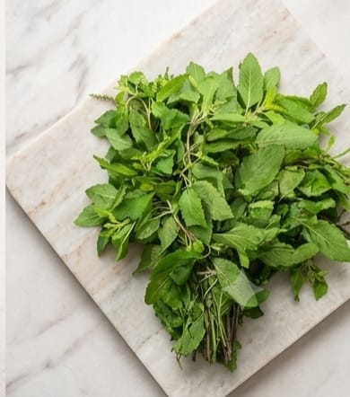 Tulsi (तुळस)