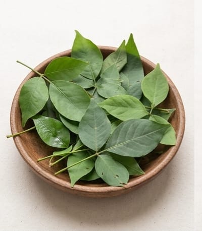 Bael leaves (बेलपत्र)